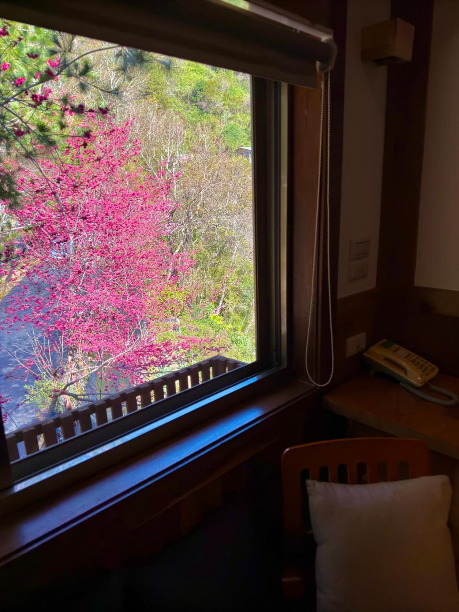 Tian Hsiang Tea B&B Renai Kamer foto