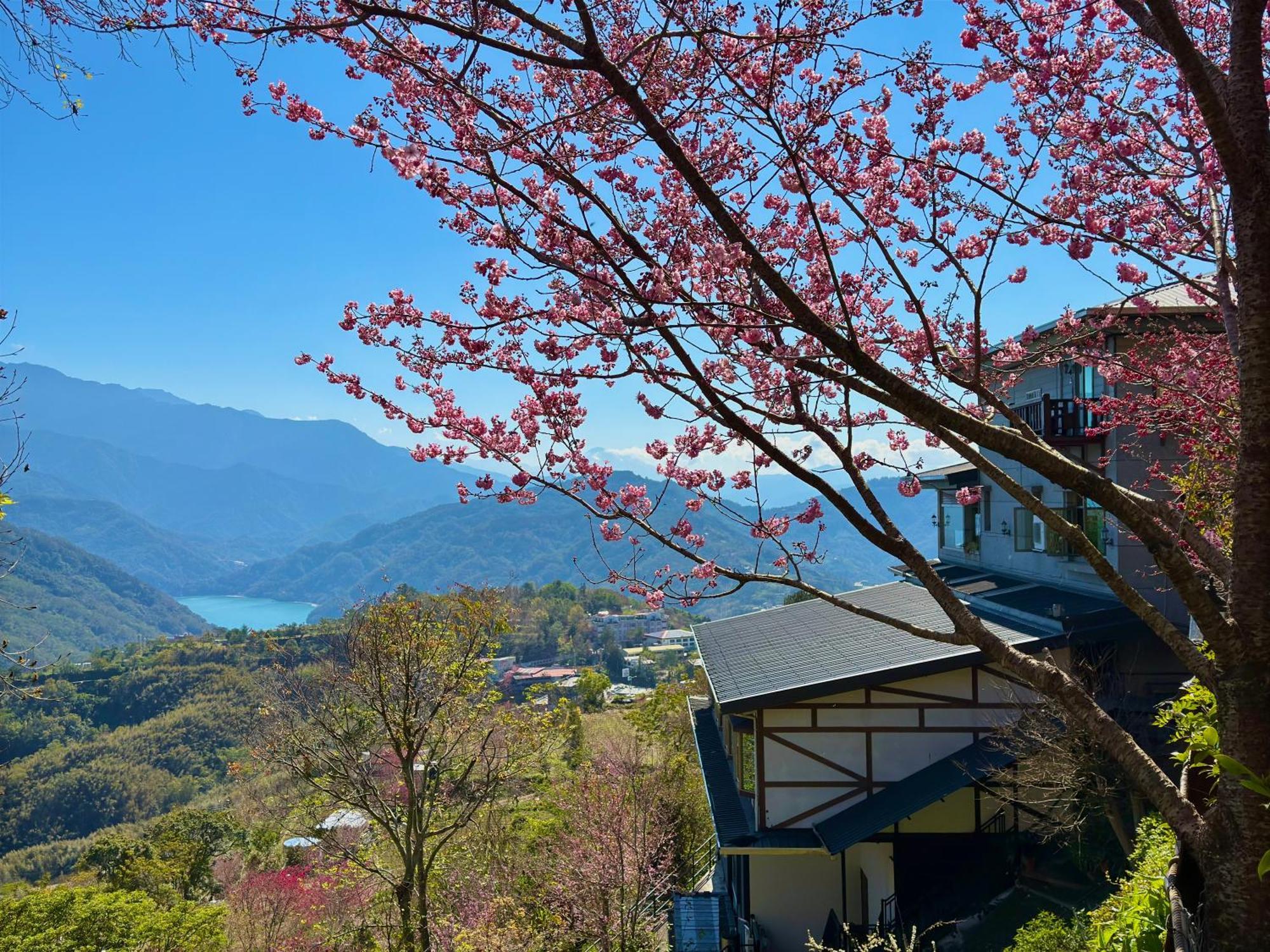 Tian Hsiang Tea B&B Renai Buitenkant foto