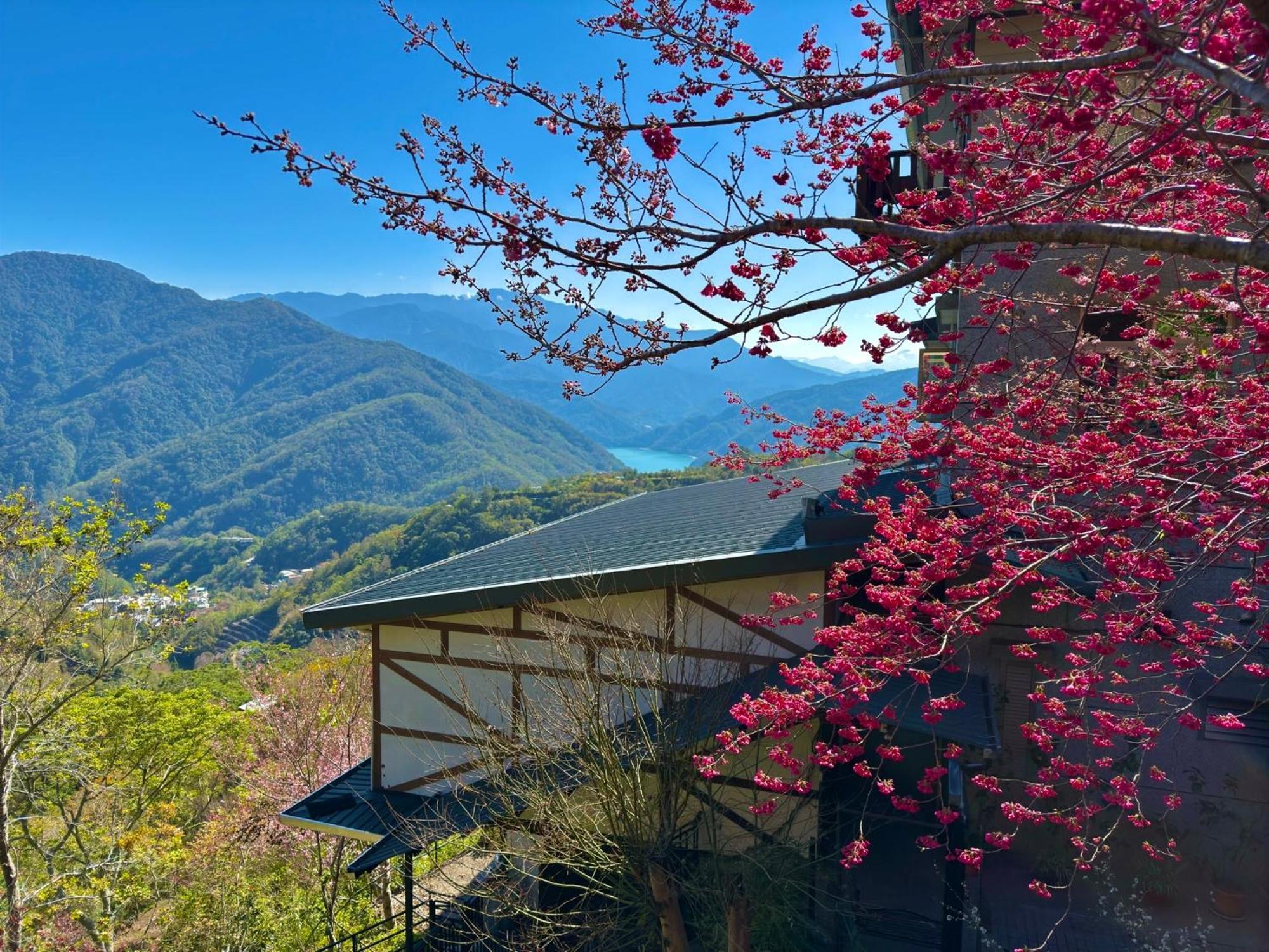 Tian Hsiang Tea B&B Renai Buitenkant foto